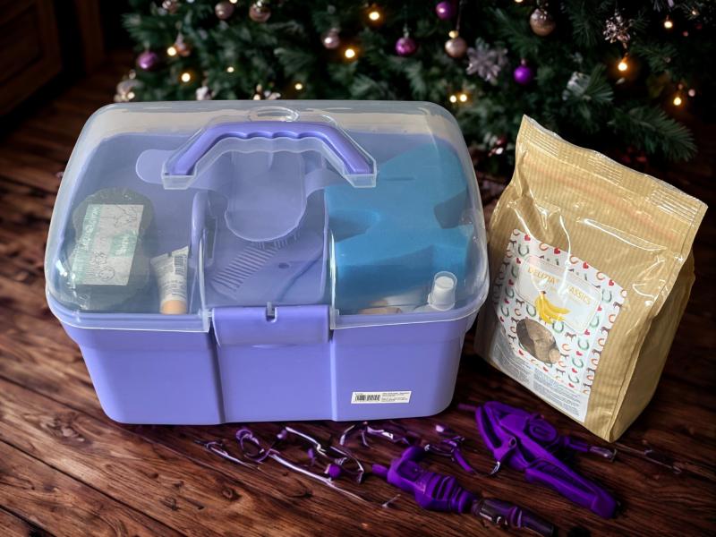 Abbildung Putzbox komplett geschlossen mit Leckerchen